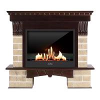 Биокамин в портале SteelHeat WS, стекло, стемалит